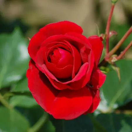 Ferienbauernhof Liesenberg Bauernhauswohnung Landidylle