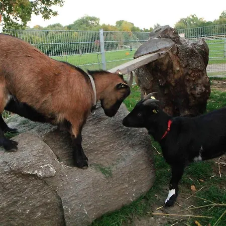 Ferienbauernhof Liesenberg Bauernhauswohnung Landidylle *
