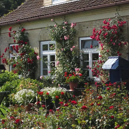 Ferienbauernhof Liesenberg Bauernhauswohnung Landidylle * Femern