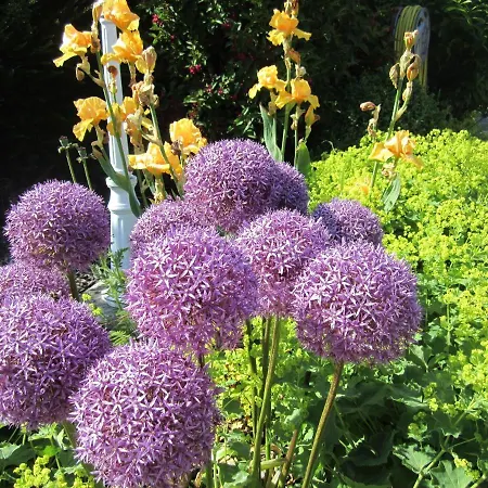 Ferienbauernhof Liesenberg Bauernhauswohnung Landidylle