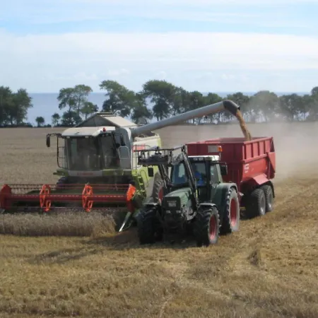 Ferienbauernhof Liesenberg Bauernhauswohnung Landidylle Lejlighed Femern