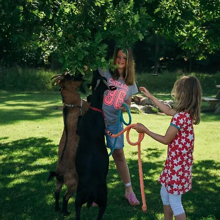 Ferienbauernhof Liesenberg Bauernhauswohnung Landidylle Lejlighed *