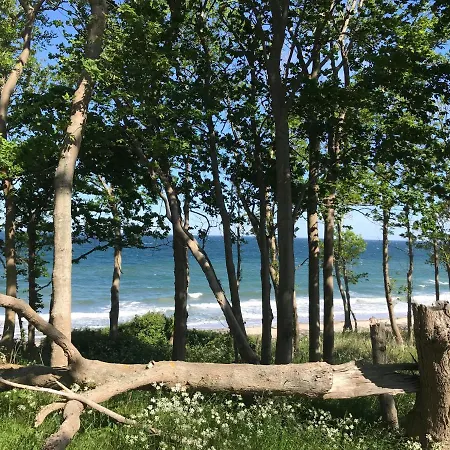 Ferienbauernhof Liesenberg Bauernhauswohnung Landidylle Femern